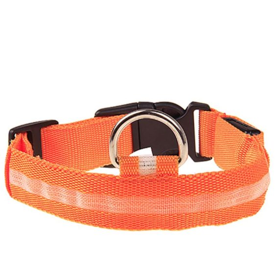 Orange1_1200x