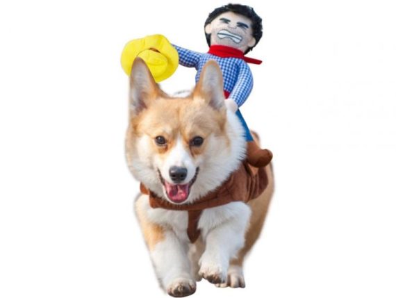 rodeo-cowboy-dog-costume-2019