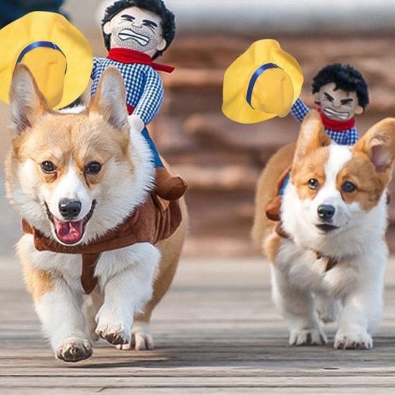 rodeo-cowboy-dog-costume-4142