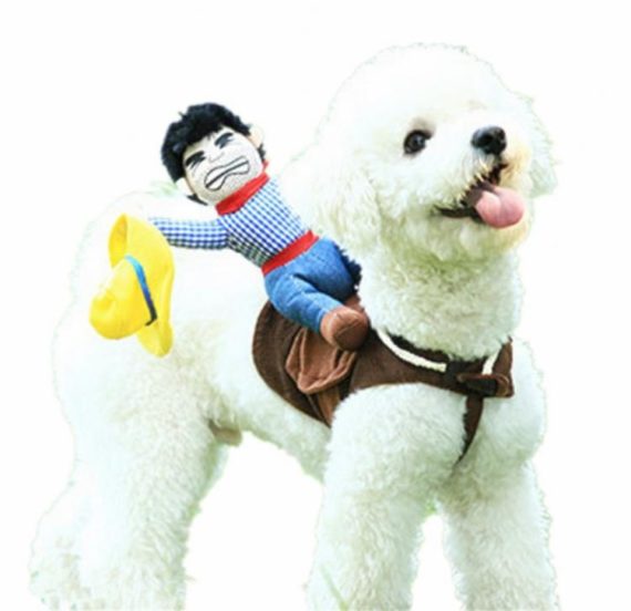rodeo-cowboy-dog-costume-4399